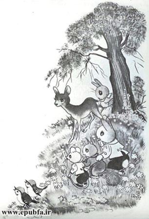 قصه کودکانه وینکی و دوستان جنگلیاش - ارشیو قصه و داستان ایپابفا